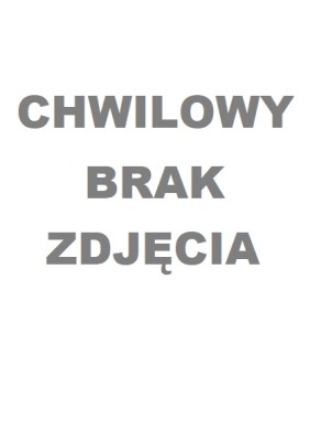 Plan BIOZ. Bezpieczeństwo pracy na budowie. Poradnik praktyczny ...