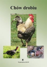 Chów drobiu .jpg