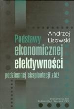 Podstawy ekonomicznej efektywności podziemnej esksploatacji złóż.