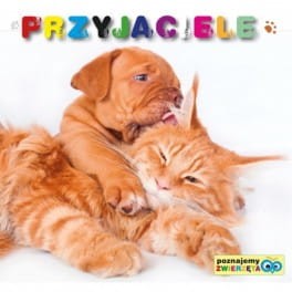 przyjaciele.jpeg
