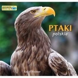 ptaki-polskie.jpeg