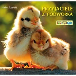 przyjaciele-z-podworka.jpeg