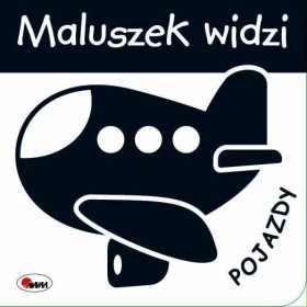 Maluszek widzi pojazdy.