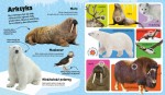 Odglosy-Zwierzat-60-dzwiekow-Przycisnij-Posluchaj_43508_1200.jpg