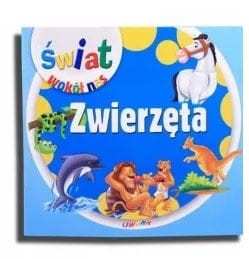 Przechwytywanie.JPG