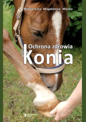 Ochrona zdrowia konia.jpg