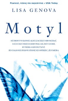 motyl.jpg