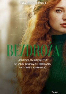 bezdroza.jpg