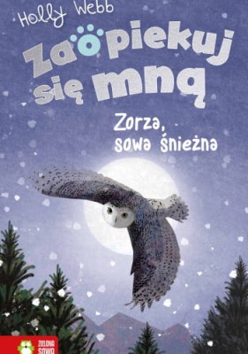 zorza.jpg