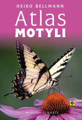 atlmot.jpg