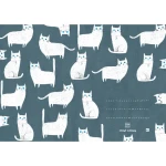 znb21.webp