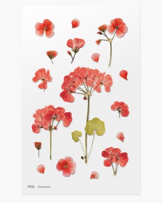geranium.jpg
