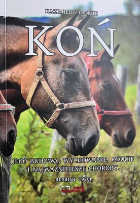 Koń.jpg