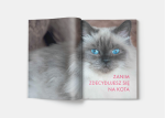 pol_pl_Rasy-kotow-2188_3.png