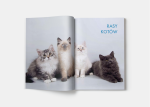 pol_pl_Rasy-kotow-2188_5.png