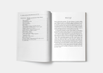 pol_pl_Druga-wojna-swiatowa-Inna-historia-2240_4.png