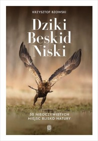 Dziki Beskid Niski 50 nieoczywistych miejsc blisko natury.