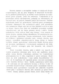 Konserwacja starych drzew. Reprint 1938