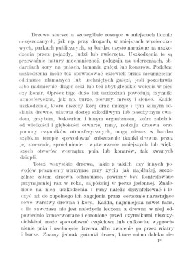 Konserwacja starych drzew_005.jpg
