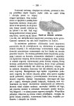 Kucie koni z uwzględnieniem postawy nóg i chorób kopyta_Strona_150_wynik.jpg