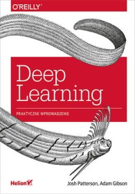 Deep Learning. Praktyczne wprowadzenie